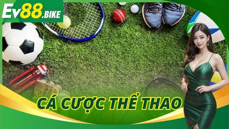 Cá Cược Thể Thao