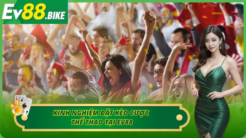 Kinh nghiệm cá cược thể thao tất thắng cho newbie