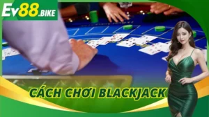 Cách Chơi Blackjack