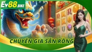 Chuyên Gia Săn Rồng