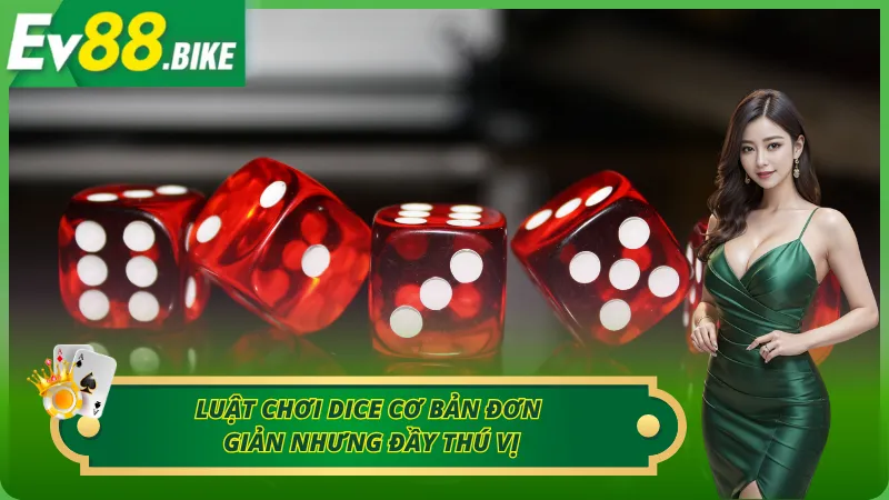 Luật chơi Dice cơ bản đơn giản nhưng đầy thú vị