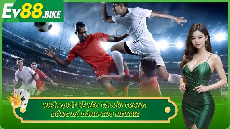 Những điều thú vị về kèo Tài Xỉu