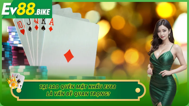 Lý do quên mật khẩu tài khoản Ev88 là vấn đề quan trọng