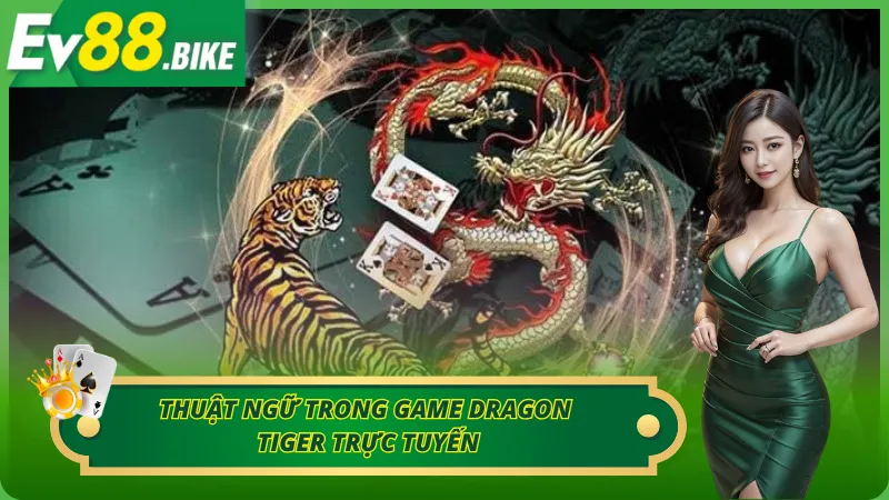 Thuật ngữ trong game dragon tiger trực tuyến