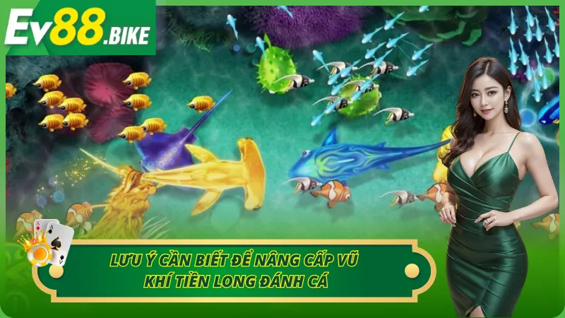 Nâng cấp vũ khí đế săn cá hiệu quả